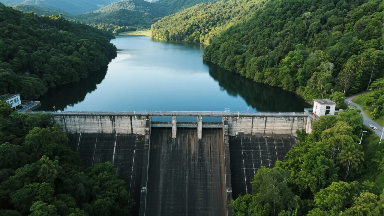 Discovering the Salsify Dam's Serenity