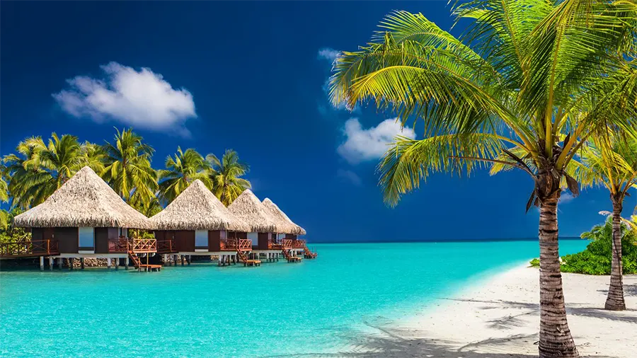 Escape to Paradise: Discover the World's Very Stunning Beaches for the Ultimate Relaxing Retreat